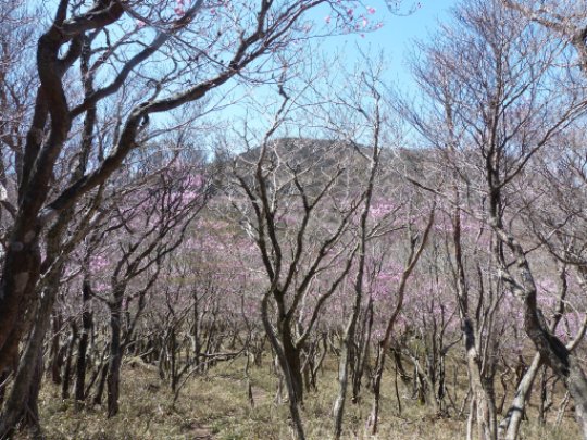 画像30